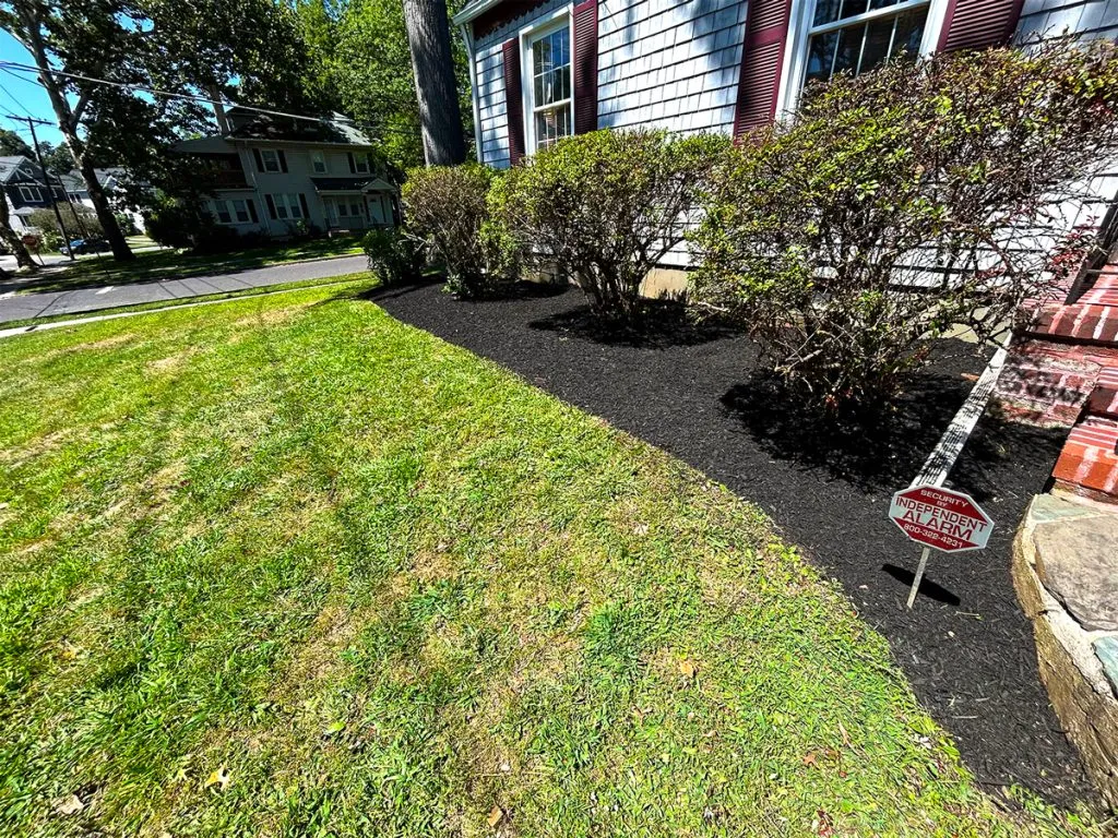 Lawn Mowing in Cherry Hill and Camden County NJ